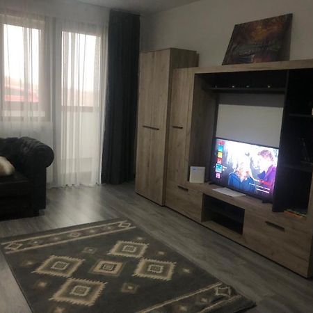 Ilinca-Zgatia Apartment Piatra Neamt Exterior photo