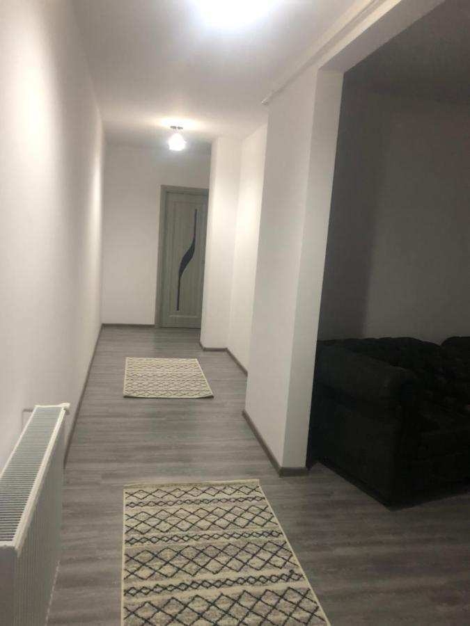 Ilinca-Zgatia Apartment Piatra Neamt Exterior photo